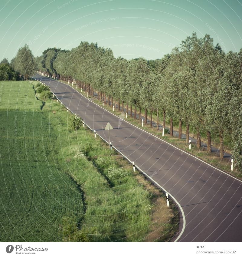 highway Summer Environment Nature Landscape Sky Climate Beautiful weather Tree Meadow Field Transport Traffic infrastructure Road traffic Street Lanes & trails