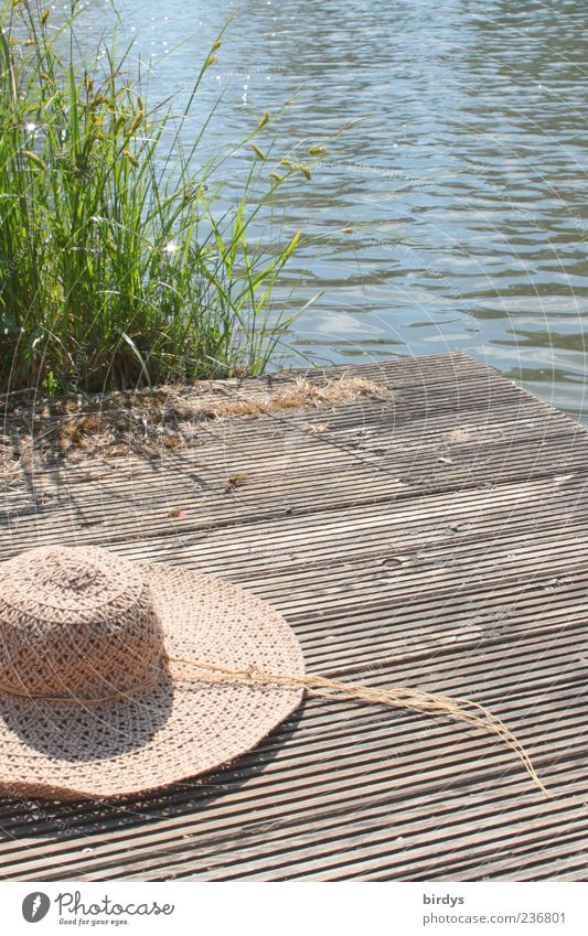 Little hat at the lake Style Nature Water Summer Beautiful weather Grass Lakeside Hat Esthetic Friendliness Natural Happy Leisure and hobbies Peace Idyll Ease
