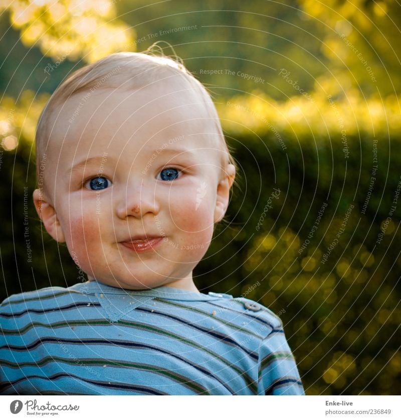 Look me in the eye. Human being Masculine Toddler Boy (child) Head 1 Nature Garden Park Glittering Smiling Looking Illuminate Fantastic Happiness Blue Green Joy