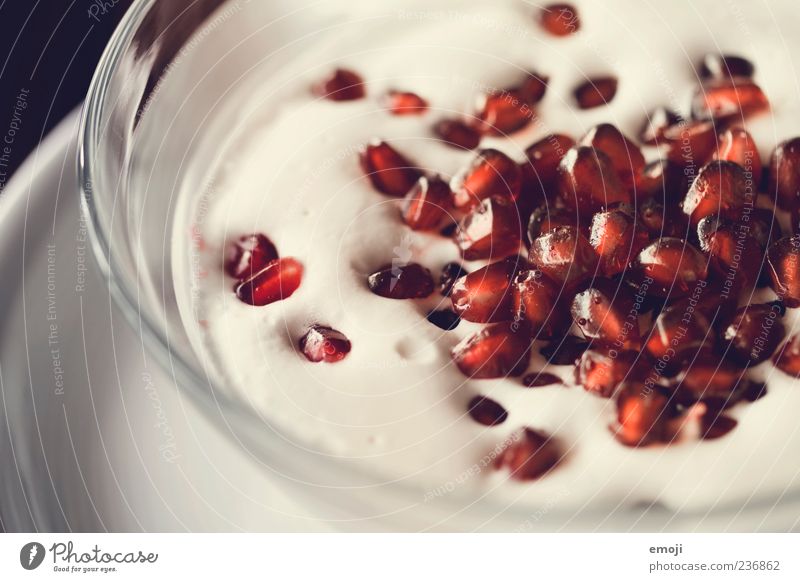 homemade Food Yoghurt Dairy Products Fruit Breakfast Organic produce Vegetarian diet Delicious Red Snack Pomegranate Self-made Bowl Colour photo Interior shot