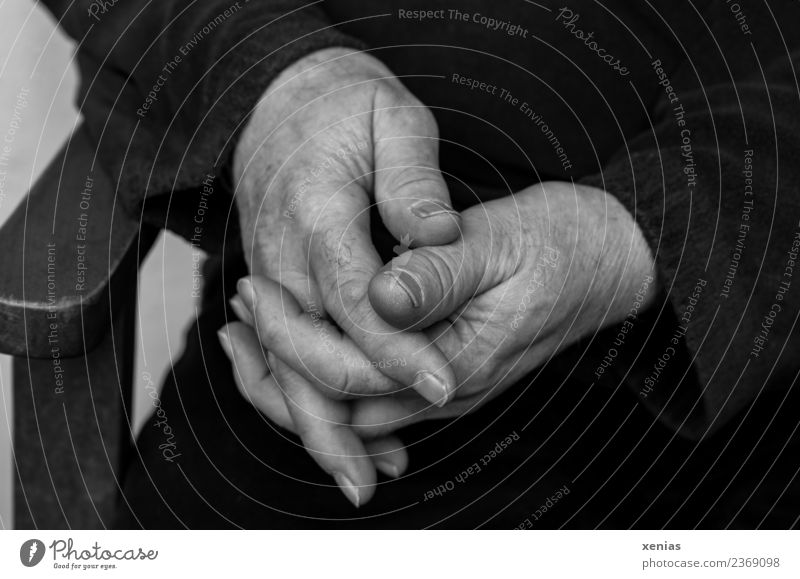 Hands retired - folded hands in black and white Fingers Man Masculine Male senior 45 - 60 years Adults 60 years and older Senior citizen Wood Sit Wait Calm