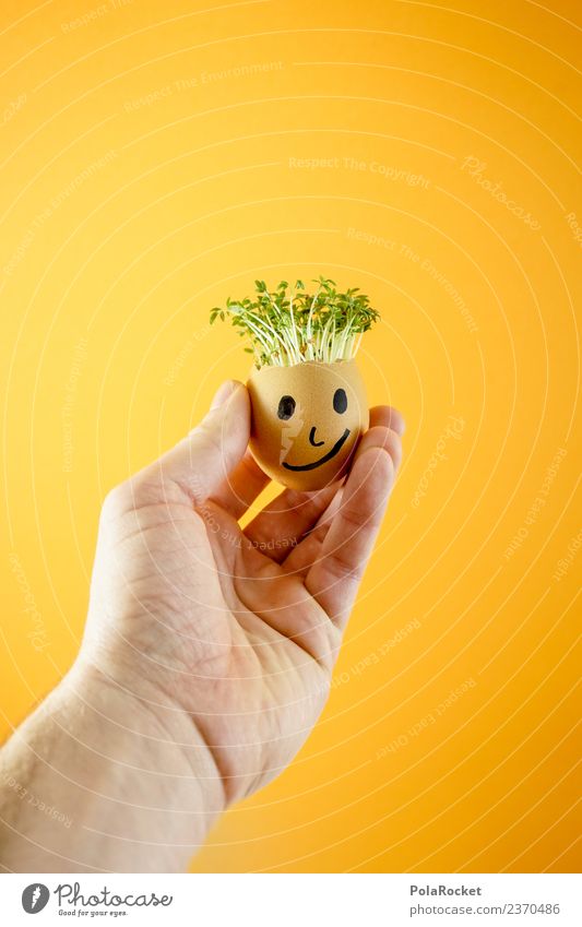 #S# Don Kressos III Food Happy Friendship Egg Hand Easter Cress Creativity Joke Orange Plant Sustainability Ecological Growth Face Infancy Handicraft Fresh