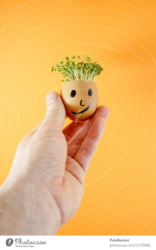 #S# Don Kressos Food Happy Joy Egg Hand Easter Cress Art Creativity Joke Orange Plant Sustainability Ecological Growth Face Infancy Handicraft Fresh