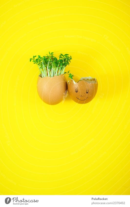 #S# Egg-friends Food Joy Easter Cress Art Esthetic Joke Green Yellow Sustainability Ecological Growth Hair and hairstyles Hair loss Society Friendship Infancy