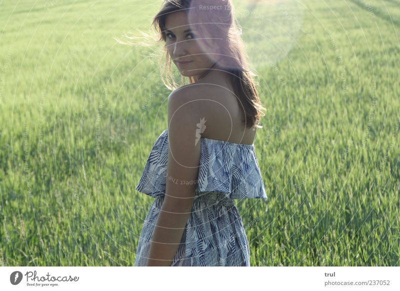 The Princess Feminine Young woman Youth (Young adults) Back Sunlight Summer Beautiful weather Wind Grass Bushes Field Dress Frill robe Brunette Rotate Smiling