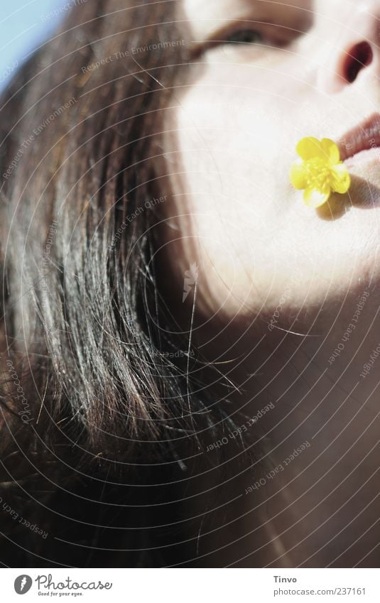 yellow flower in the corner of a woman's mouth Young woman Youth (Young adults) Hair and hairstyles Face Eyes Mouth 1 Human being Blossom Brunette Long-haired