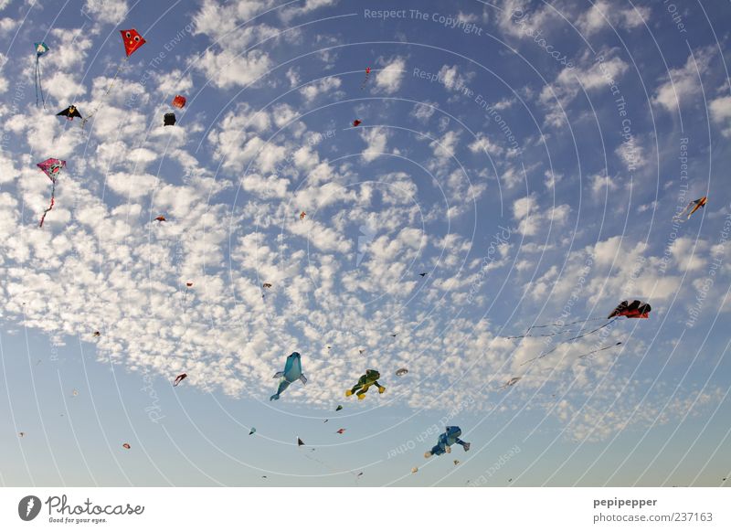 Unknown flying objects Leisure and hobbies Summer Sky Clouds Beautiful weather Wind Movement Flying Esthetic Exceptional Above Colour photo Exterior shot