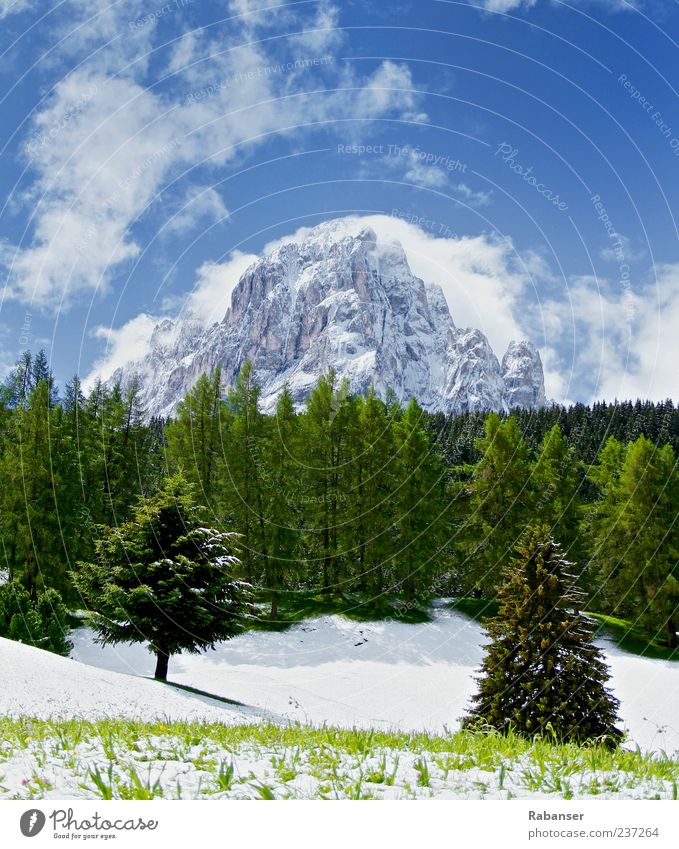 Summer at last! Environment Nature Landscape Sky Clouds Ice Frost Snow Meadow Forest Alps Mountain Langkofel Peak Snowcapped peak Esthetic Authentic Cold Blue