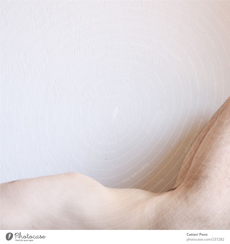 Mountain & Valley Masculine Young man Youth (Young adults) Man Adults Body 1 Human being Lie Naked Thin Thorax Hair Stomach Bright White Interior shot Day