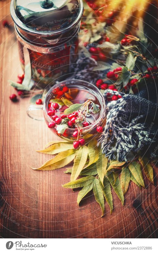 Autumn tea on wooden table with barrel and scarf Food Beverage Hot drink Tea Style Design Alternative medicine Healthy Eating Living or residing