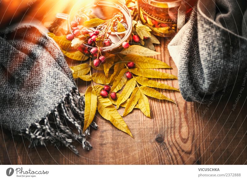 Cup with autumn tea and scarf Beverage Hot drink Tea Lifestyle Style Design Healthy Healthy Eating Relaxation Living or residing Table Thanksgiving