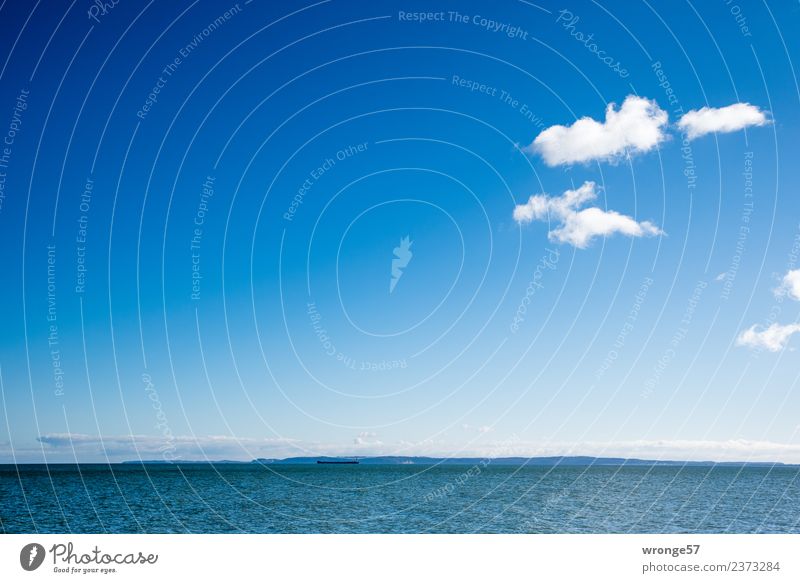 Horizon and sea Landscape Air Water Sky Clouds Spring Beautiful weather Waves Coast Bay Baltic Sea Free Infinity Maritime Blue White Ocean Surface of water