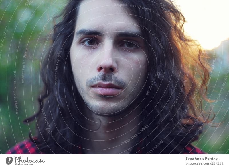 the others. Masculine Young man Youth (Young adults) 1 Human being 18 - 30 years Adults Brunette Long-haired Curl Uniqueness Colour photo Exterior shot Sunlight