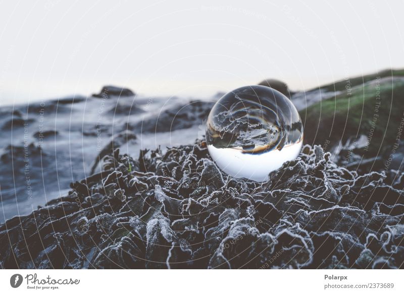 Glass orb on frozen leaves Beautiful Winter Environment Nature Plant Earth Weather Moss Leaf Hill Sphere Globe Glittering Dark Fresh Bright Sustainability Clean
