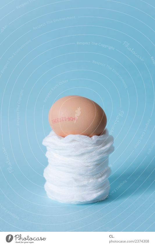 fragile Food Egg Nutrition Easter Absorbent cotton Sign Esthetic Exceptional Trust Safety Protection Responsibility Attentive Uniqueness Considerate Threat