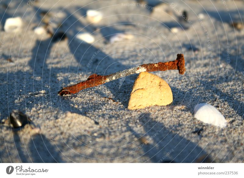 flotsam and jetsam Environment Sand Coast Beach Baltic Sea Ocean Stone Metal Nature Calm Infinity Decline Transience Change Colour photo Exterior shot Close-up