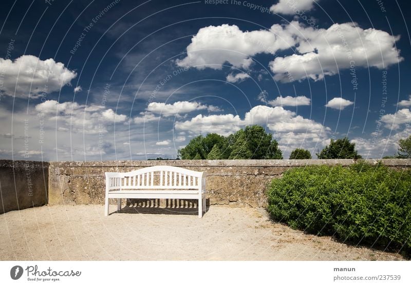 Place in the sun Bench Sky Clouds Beautiful weather Park Places Wall (barrier) Wall (building) Garden Break Calm Blue sky Hedge Seating Colour photo