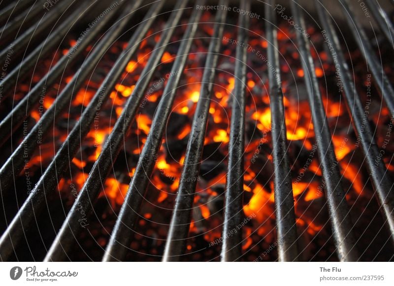 On hot coals! Barbecue (apparatus) Wood Metal Yellow Red Black Barbecue (event) Charcoal Fire Embers Glow Warmth Colour photo Detail Contrast Bird's-eye view