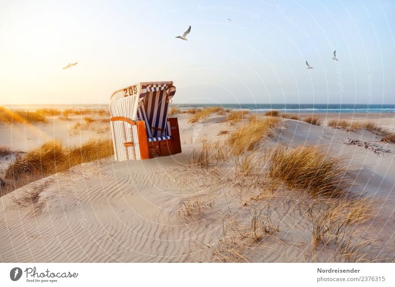 Beach chair in the dunes Senses Vacation & Travel Tourism Summer Summer vacation Sun Ocean Nature Landscape Elements Sand Water Cloudless sky Sunrise Sunset