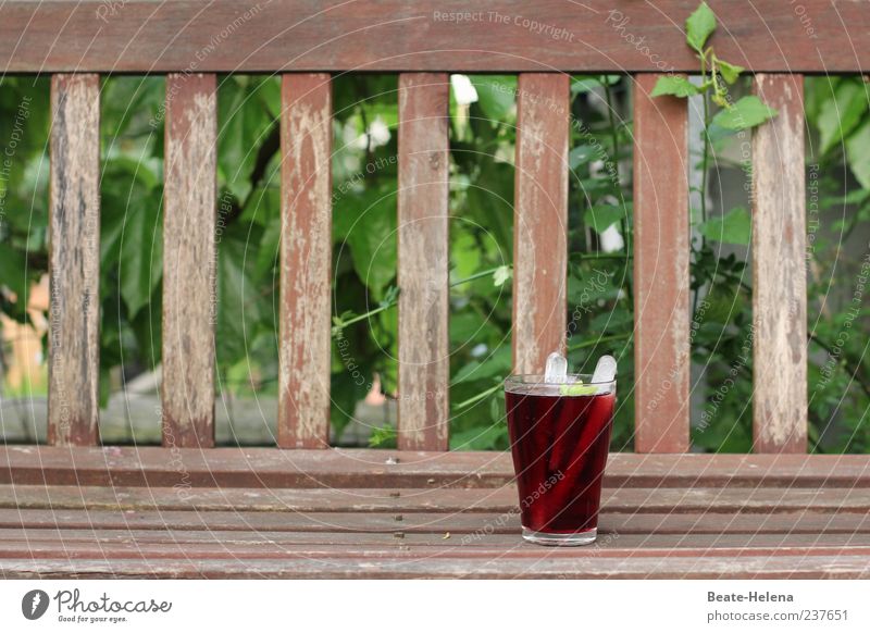 A toast to the 100! Beverage Cold drink Lemonade Glass Nature Beautiful weather Ivy Garden Wood To enjoy Drinking Good Brown Green Red Moody Joy Contentment