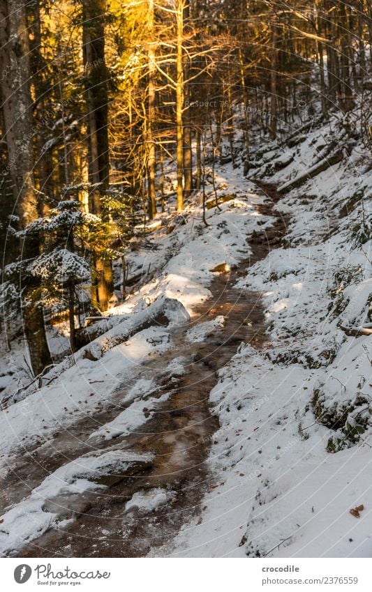 The way Hiking Fitness Environment Nature Landscape Winter Ice Frost Snow Hill Mountain Lanes & trails Calm Colour photo Exterior shot Deserted Evening