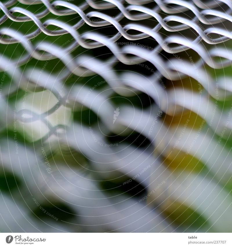 fence Environment Metal Net Network Glittering Dark Bright Gray Silver White Safety Orderliness Esthetic Bizarre Attachment Wire netting fence wire netting