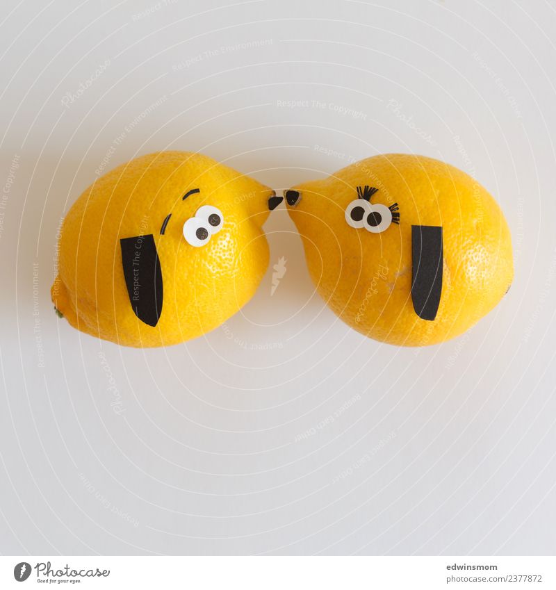 kiss Food Fruit Lemon Leisure and hobbies Playing Handicraft Animal Pet Dog 2 Pair of animals Decoration Smiling Love Looking Happiness Together Happy Funny