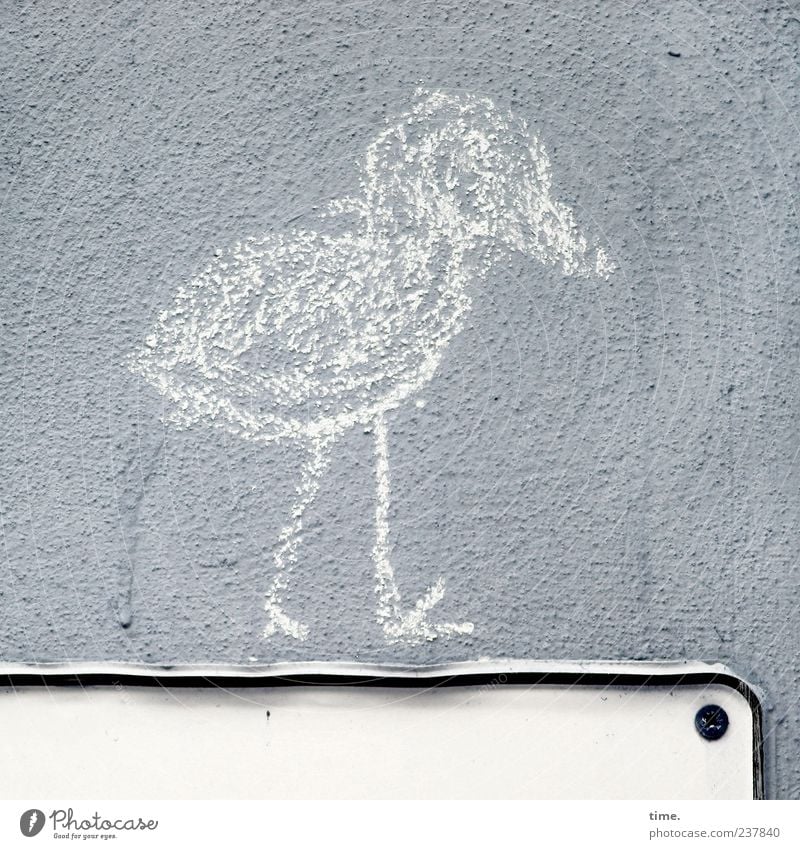 Shit Happens! Bird 1 Animal Signs and labeling Going Hiking Dirty Gray Serene Wall (building) Drawing Fastening Screw Chalk Painted Plaster Bordered Clue