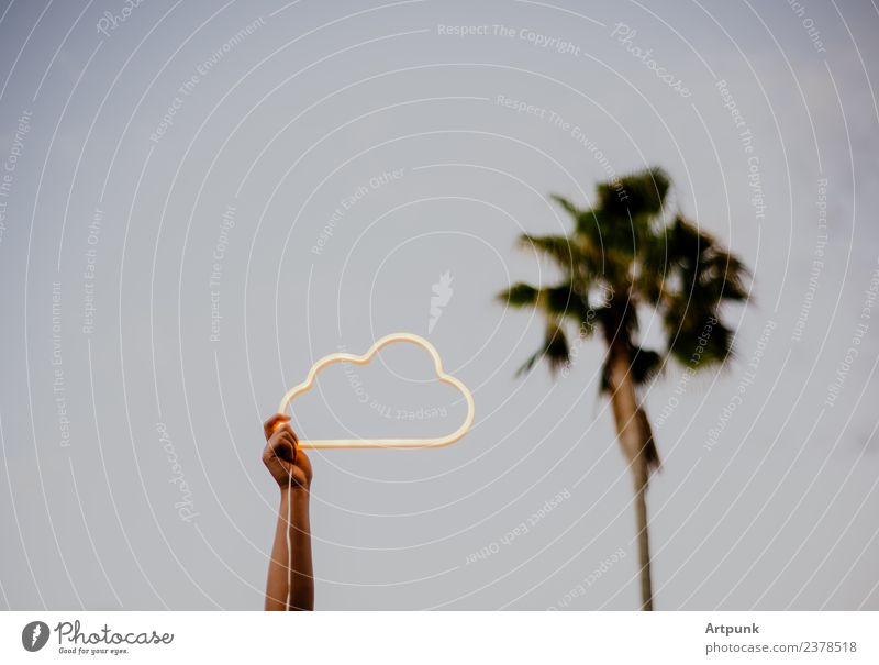 An arm holding up a cloud neon sign Neon light Sign Signage Electric Modern Future Palm tree Tree Exterior shot Summer Sky Blue Sunset Weather forecast Clouds