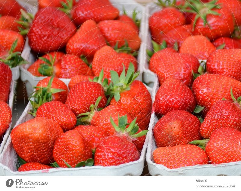 strawberry field Food Fruit Nutrition Organic produce Healthy Delicious Juicy Sweet Red Farmer's market Market stall Strawberry Fruit bowl Colour photo