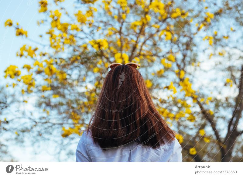 A young woman looking at a tree. Tree Yellow Leaf Woman White Shirt Sky Branch Spring Summer Long-haired Flower Sunglasses Forest Wood Nature Exterior shot