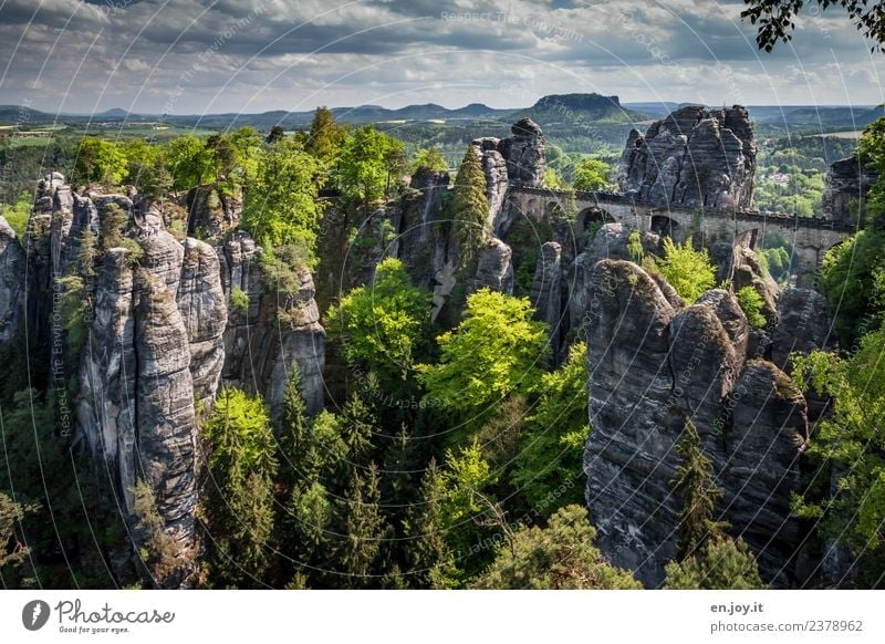 trip Vacation & Travel Tourism Trip Adventure Far-off places Summer Summer vacation Hiking Nature Landscape Forest Hill Rock Elbsandstone mountains Germany
