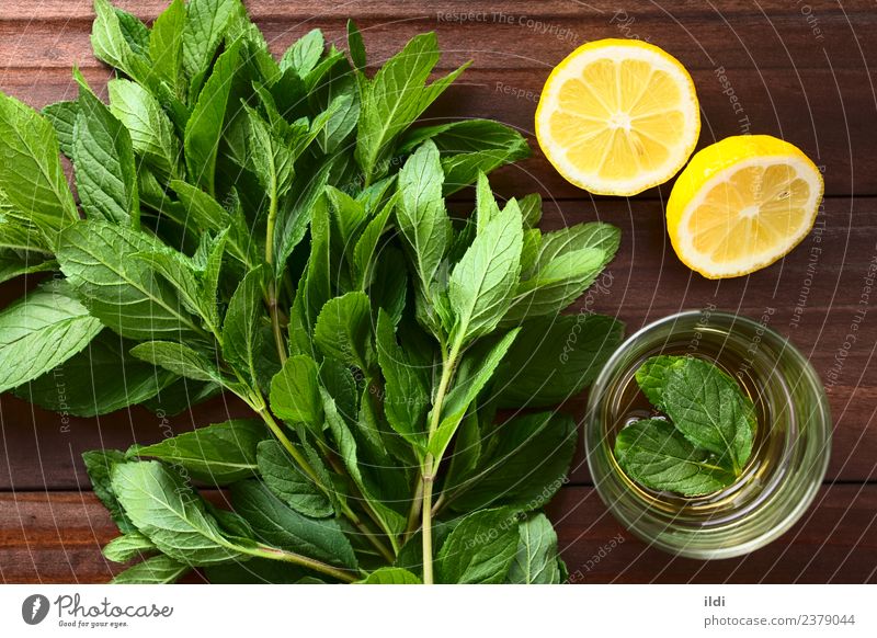 Fresh Mint and Mint Tea Herbs and spices Beverage Natural spearmint Bundle remedy medicine Aromatic sprig flavor healthy herbal Raw food cooking condiment
