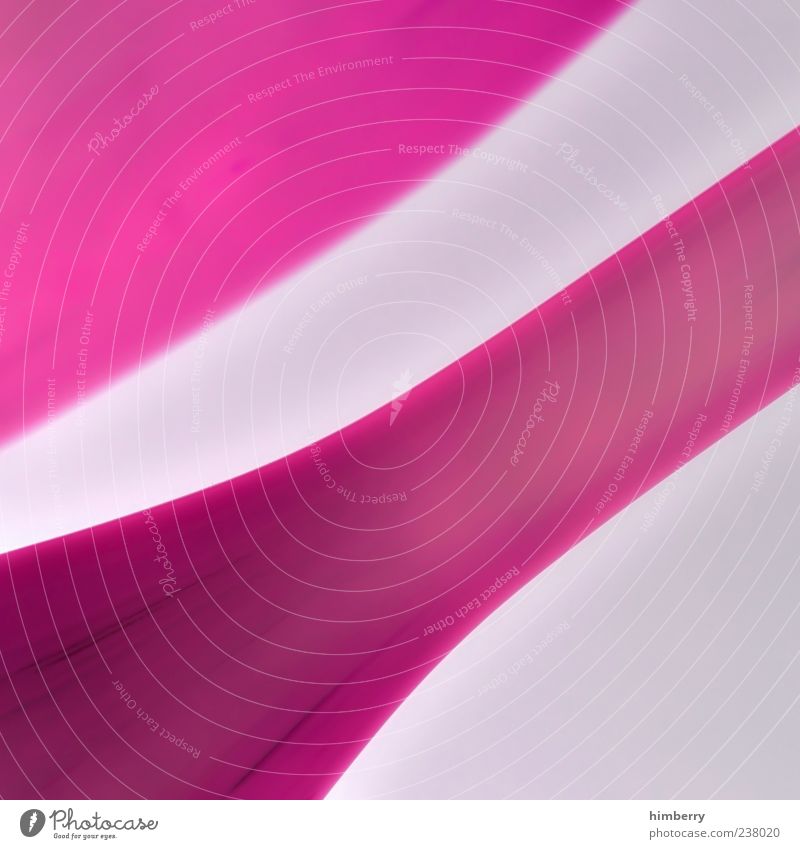 think pink Art Work of art Design Decoration Colour photo Detail Experimental Abstract Deserted Copy Space left Copy Space right Copy Space top