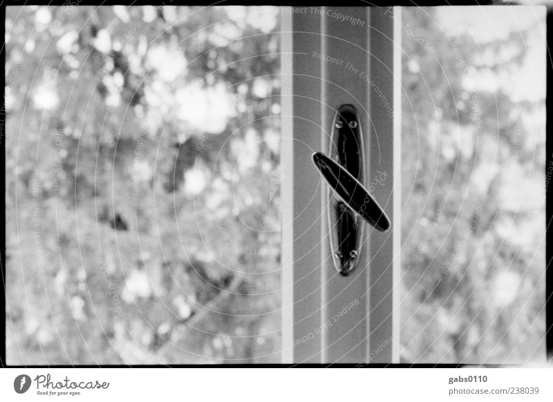 Open me up! Window Window pane Glass Tree window handle leaky Closed Wood White Analog Black & white photo Interior shot Detail Deserted Copy Space left Day