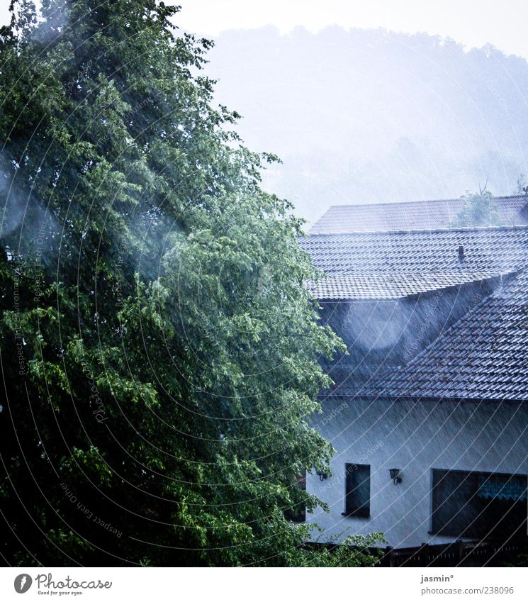 rainy days House (Residential Structure) Environment Water Village Cold Wet Day Landscape Nature Tree Treetop Weather Rain Rainwater Building Detached house