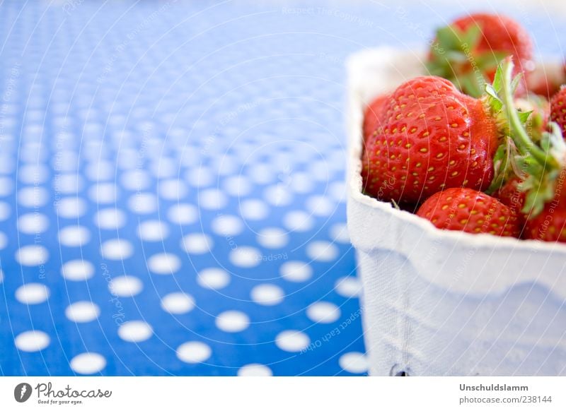 strawberry basket Fruit Strawberry Nutrition Organic produce Fresh Healthy Blue Red White Colour Point Colour photo Multicoloured Interior shot Copy Space left