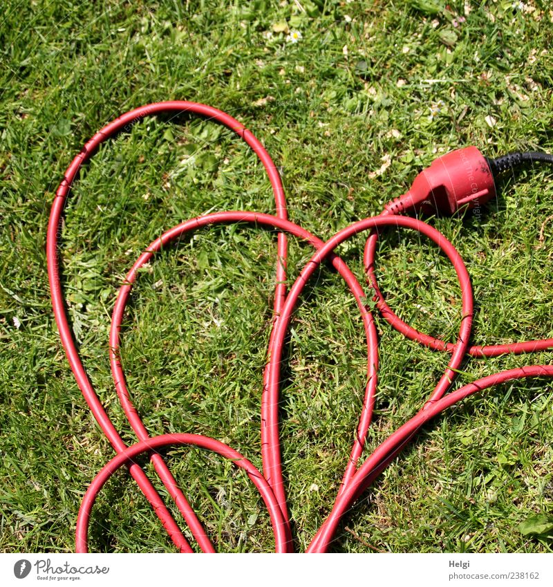 orderly confusion... Cable Connector Technology Grass Heart Line Lie Exceptional Long Green Red Uniqueness Perspective Electricity Muddled Colour photo