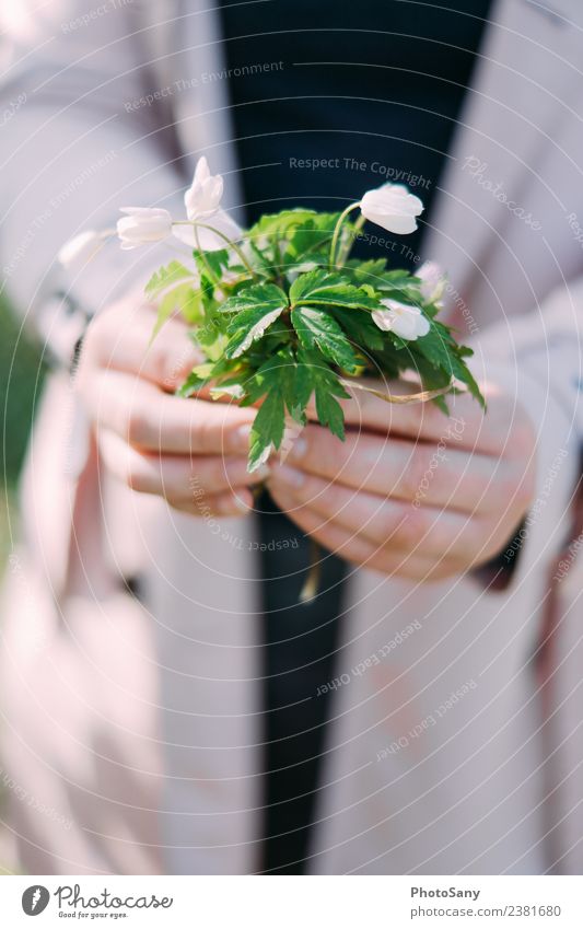 A little spring Masculine Hand Fingers 1 Human being Nature Plant Flower Blossom Simple Bright Green Pink Black White Colour photo Exterior shot