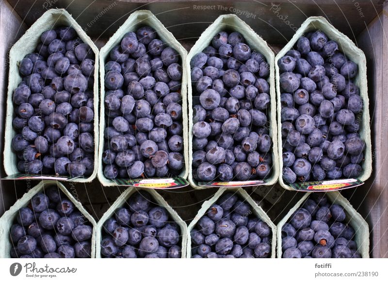 This is Amsterdam (Or: berry bun) Berries Nutrition Blue Bowl Row Sense of taste Delicious Netherlands Round Cardboard Sweet Subdued colour Exterior shot