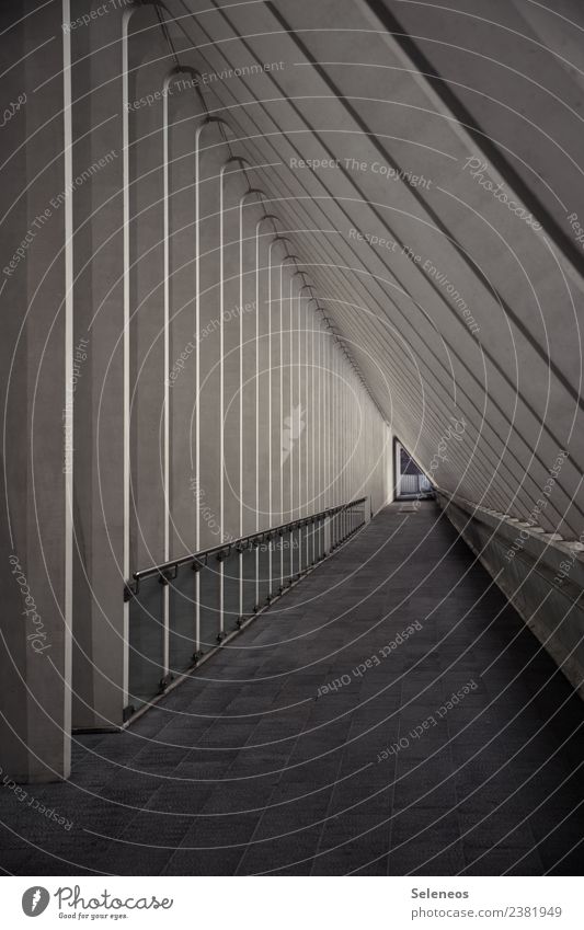 line accuracy Tunnel Manmade structures Building Architecture Wall (barrier) Wall (building) Sharp-edged Town Line Lined Colour photo Interior shot Pattern