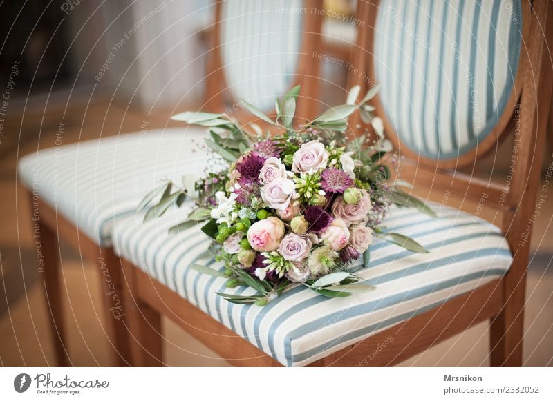 registry office Feasts & Celebrations Wedding Deserted City hall Love Chair Matrimony Marriage proposal Stripe Happy Future Congratulations Olive leaf Rose