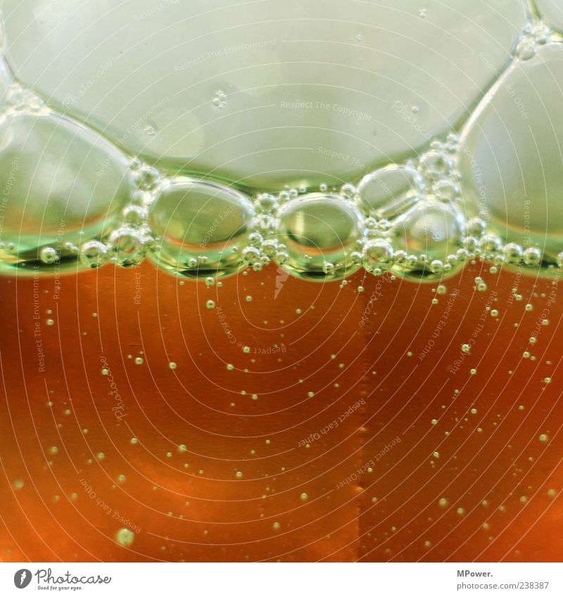 Bubbles II Water Exceptional Wet Round Brown Fluid Many Small Beverage Glass Colour photo Interior shot Detail Deserted Copy Space top Copy Space bottom