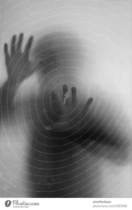 Human silhouette behind a glass pane Human being Masculine Feminine Androgynous Body Head Arm Hand Fingers 1 30 - 45 years Adults Pane Glass Touch Fight Scream