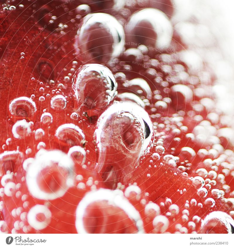 StrawberryCosmos Fruit Nutrition Red Abstract Bubble Surface Colour photo Close-up Detail Macro (Extreme close-up) Deserted Air bubble
