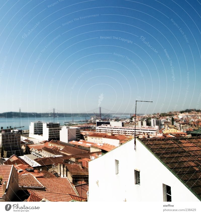 Diagonal, indicated Cloudless sky Summer Beautiful weather Lisbon Portugal Capital city House (Residential Structure) Wall (barrier) Wall (building) Facade