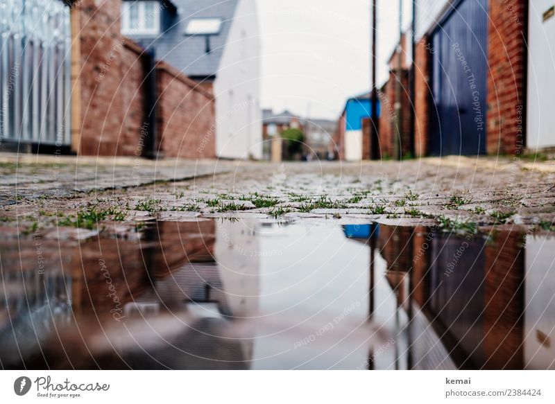 puddle Calm Vacation & Travel Trip Sightseeing City trip Gate Water Grass Puddle Surface of water Oxford England Town Downtown Old town Deserted