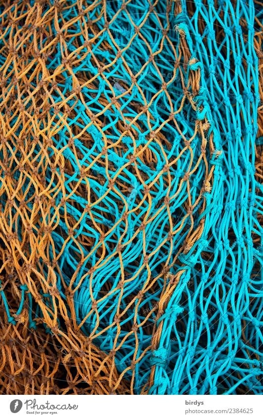 fishing nets Craft (trade) Fishery Fishing net Plastic Authentic Orange Turquoise Colour Crisis Calm Tradition Net full-frame image Maritime Colour photo