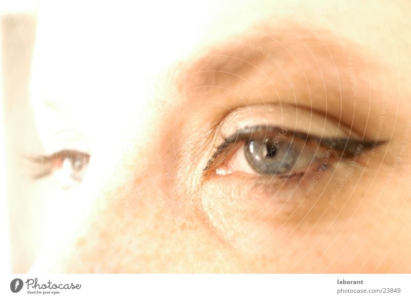 instant Woman Eyebrow Overexposure Freckles Eyelash Make-up Eyes Face Iris mascara Looking