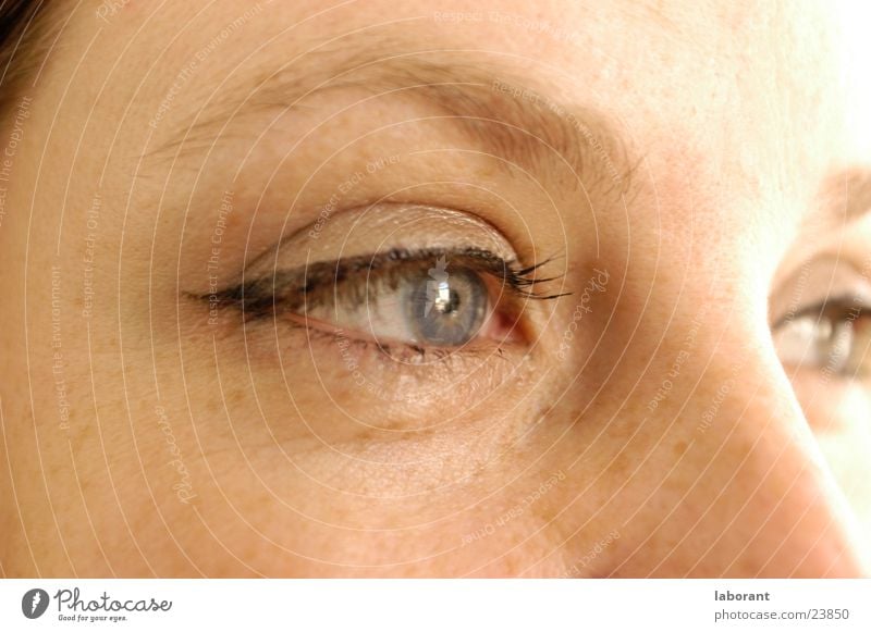 moment later Woman Eyebrow Overexposure Freckles Eyelash Make-up Think Eyes Face Iris mascara Looking